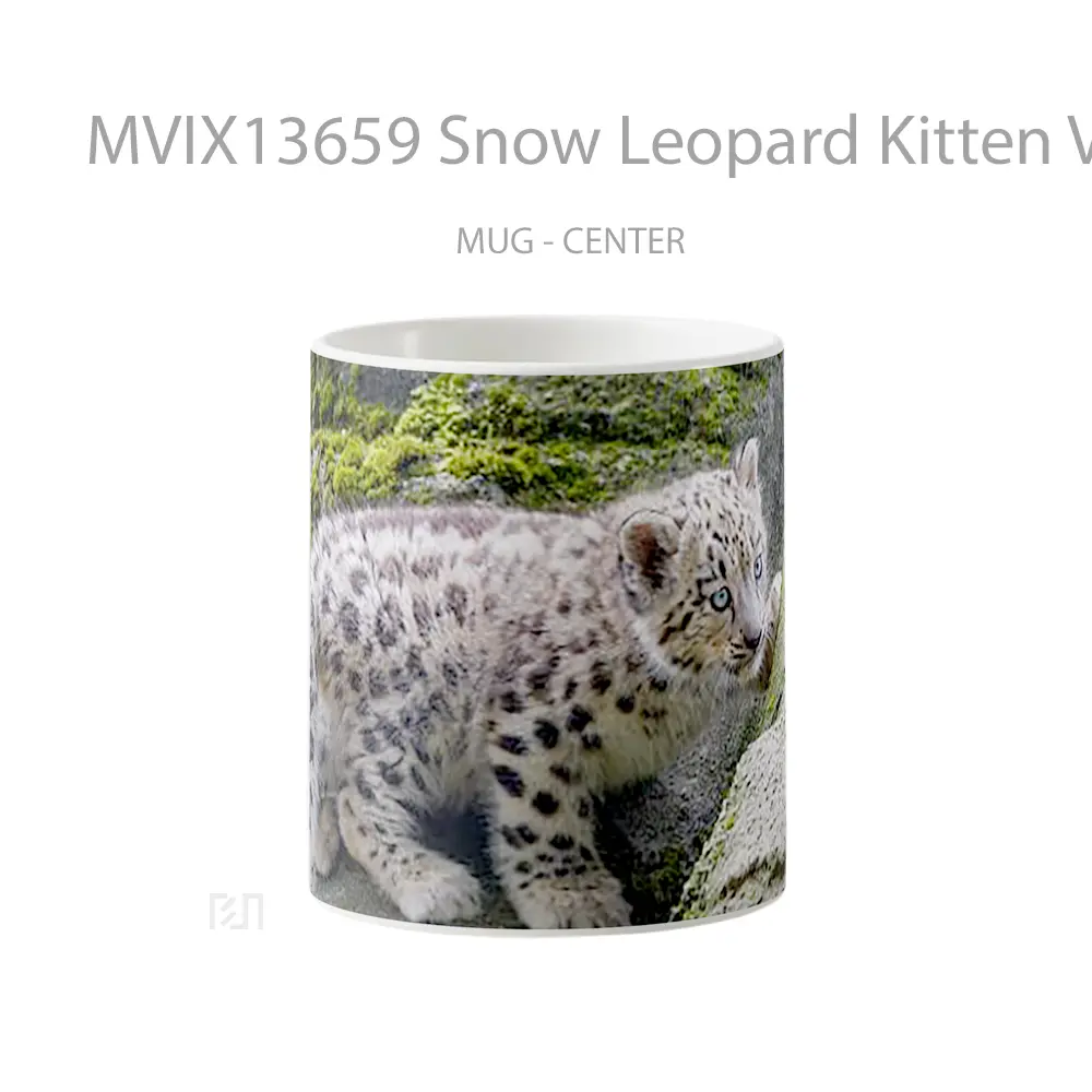 Mug Snow Leopard Kitten V1 Gelas Hewan Lucu