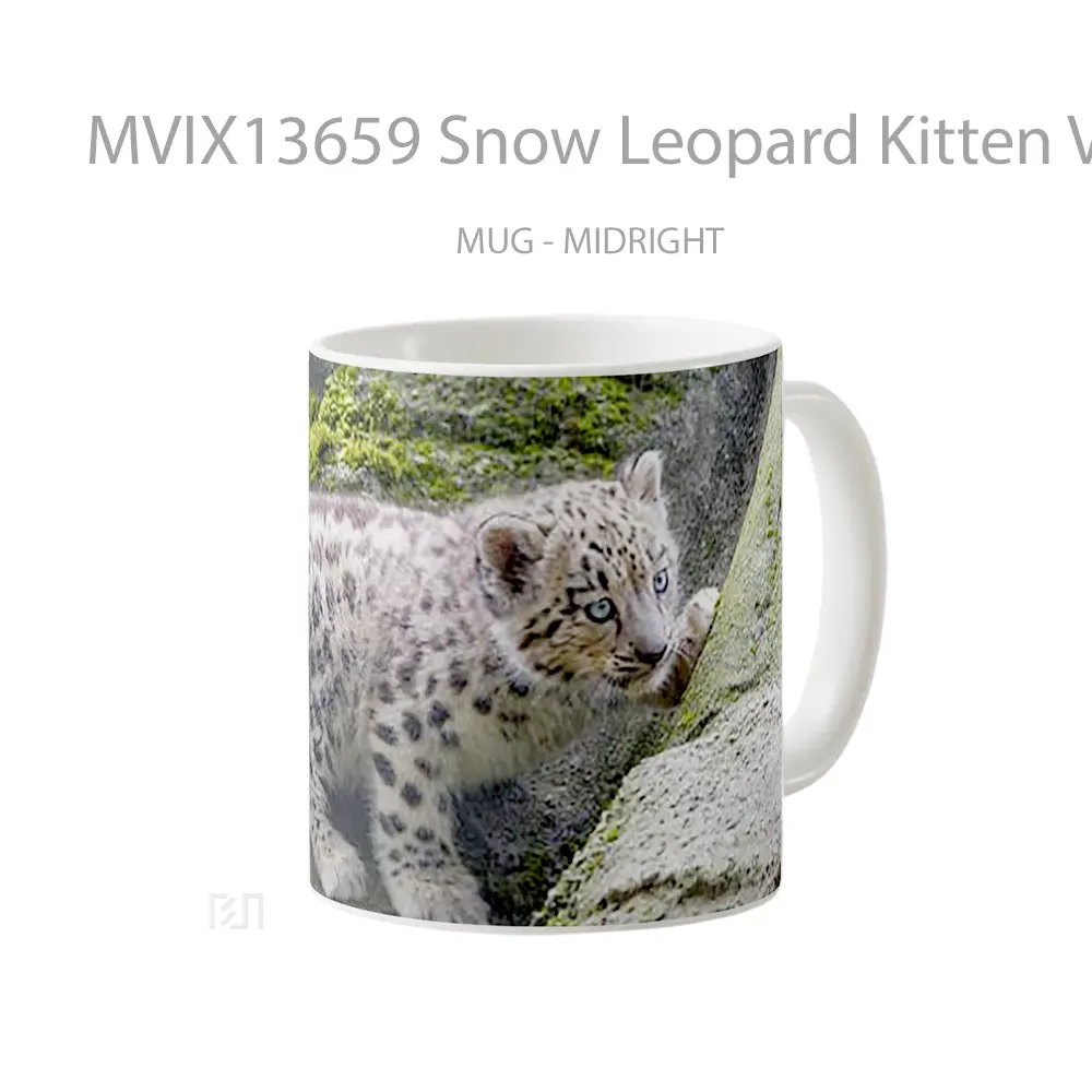 Mug Snow Leopard Kitten V1 Gelas Hewan Lucu - All-side / Desain