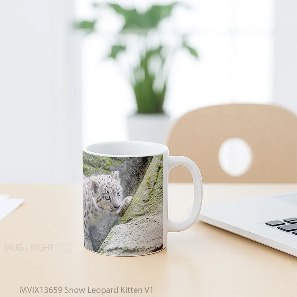 Mug Snow Leopard Kitten V1 Gelas Hewan Lucu - All-side / Desain