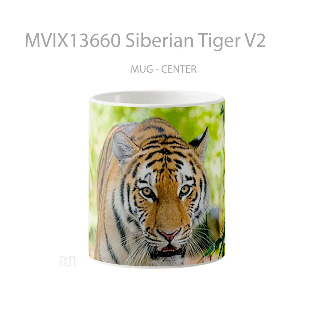 Mug Siberian Tiger V2 Gelas Hewan Lucu