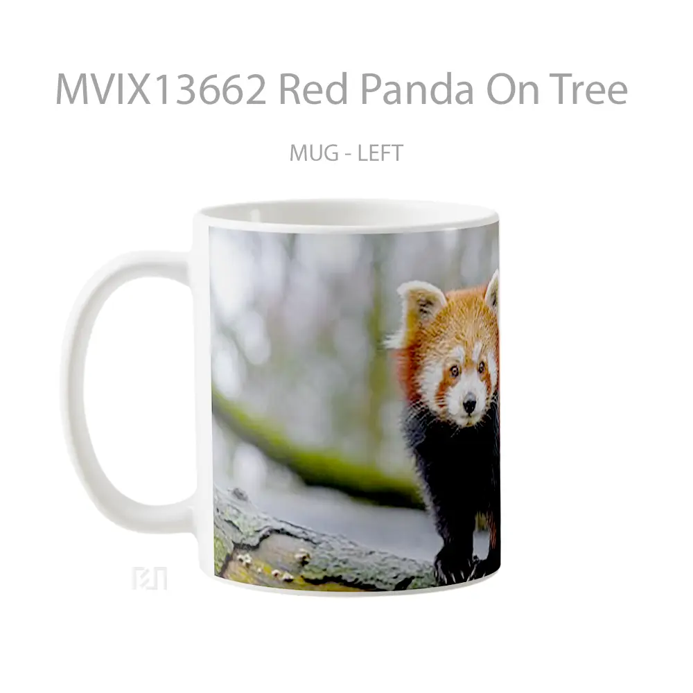Mug Red Panda On Tree Gelas Hewan Lucu - All-side / Desain