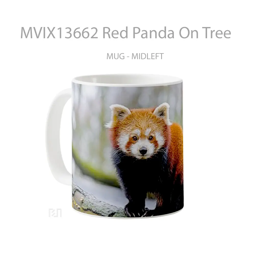 Mug Red Panda On Tree Gelas Hewan Lucu - All-side / Desain