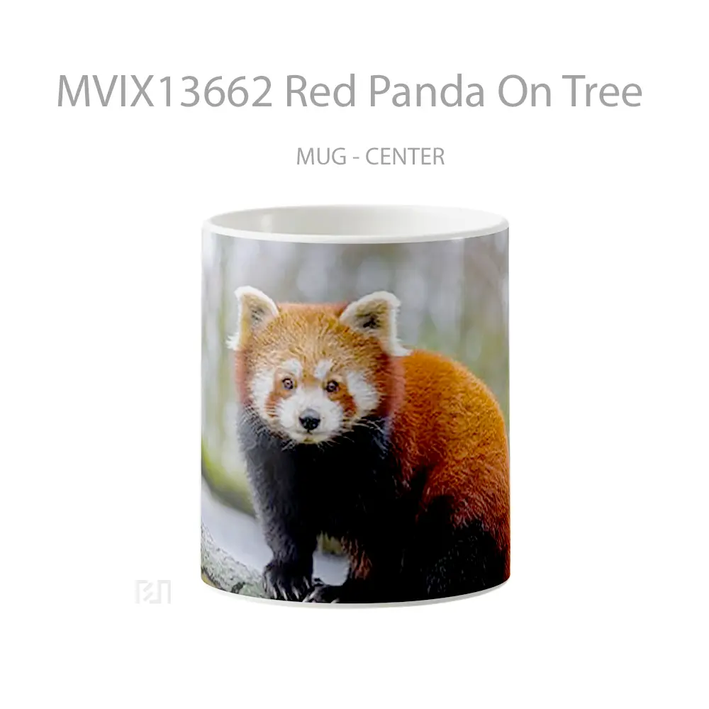Mug Red Panda On Tree Gelas Hewan Lucu