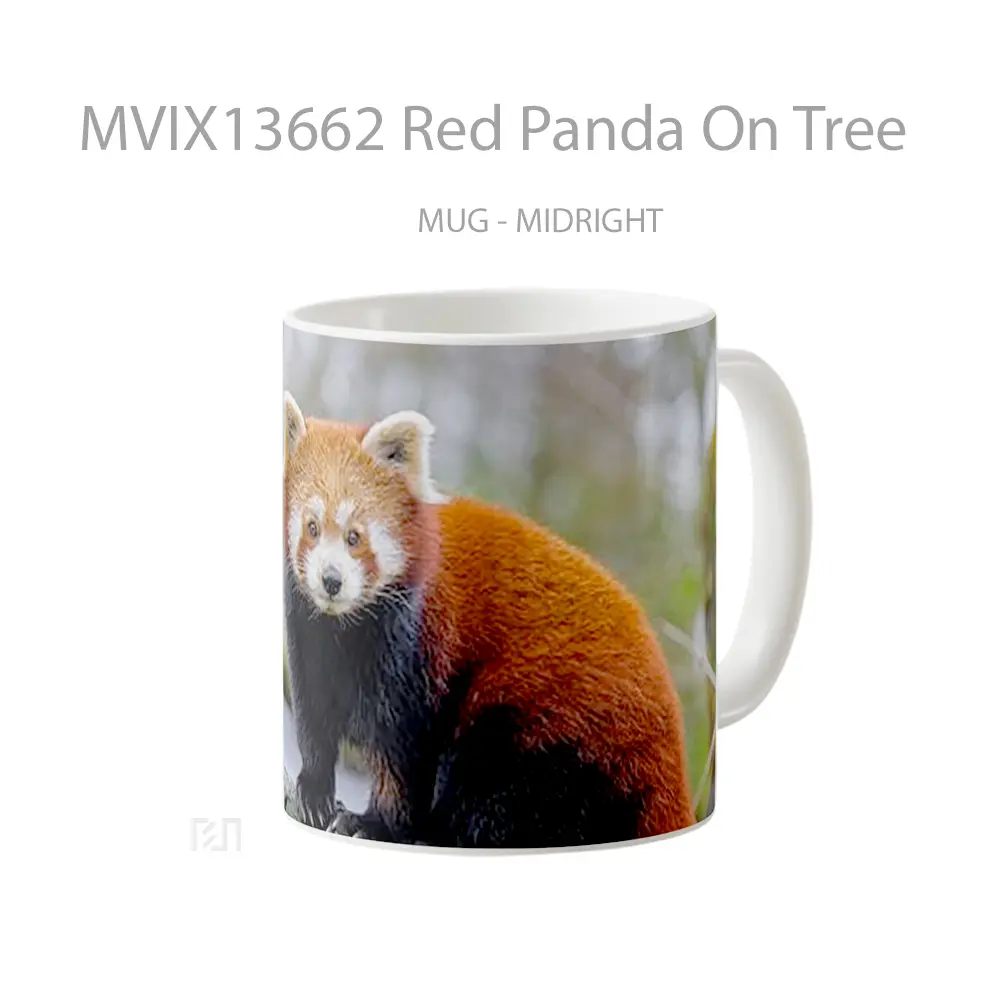 Mug Red Panda On Tree Gelas Hewan Lucu - All-side / Desain