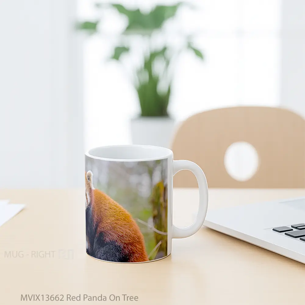 Mug Red Panda On Tree Gelas Hewan Lucu - All-side / Desain