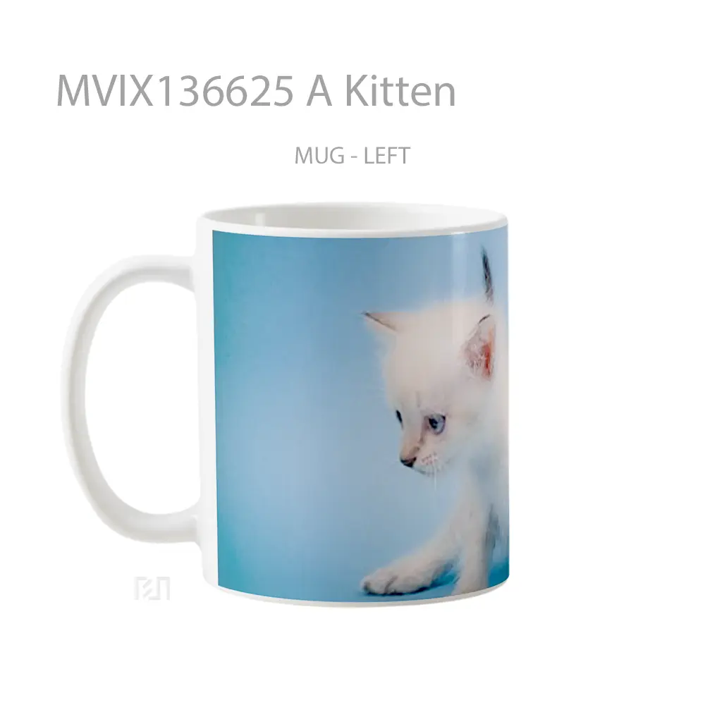 Mug A Kitten Gelas Hewan Lucu - All-side / Desain