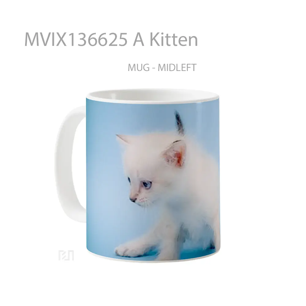Mug A Kitten Gelas Hewan Lucu - All-side / Desain