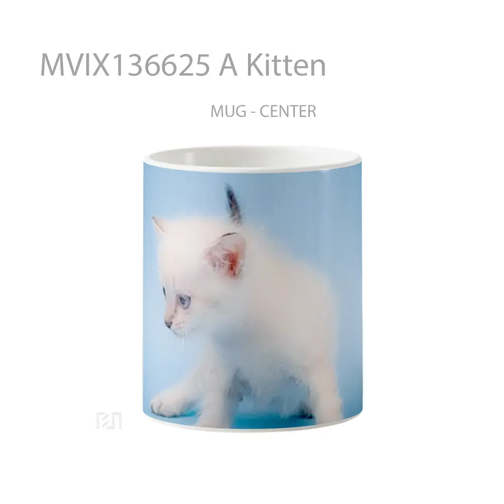 Mug A Kitten Gelas Hewan Lucu