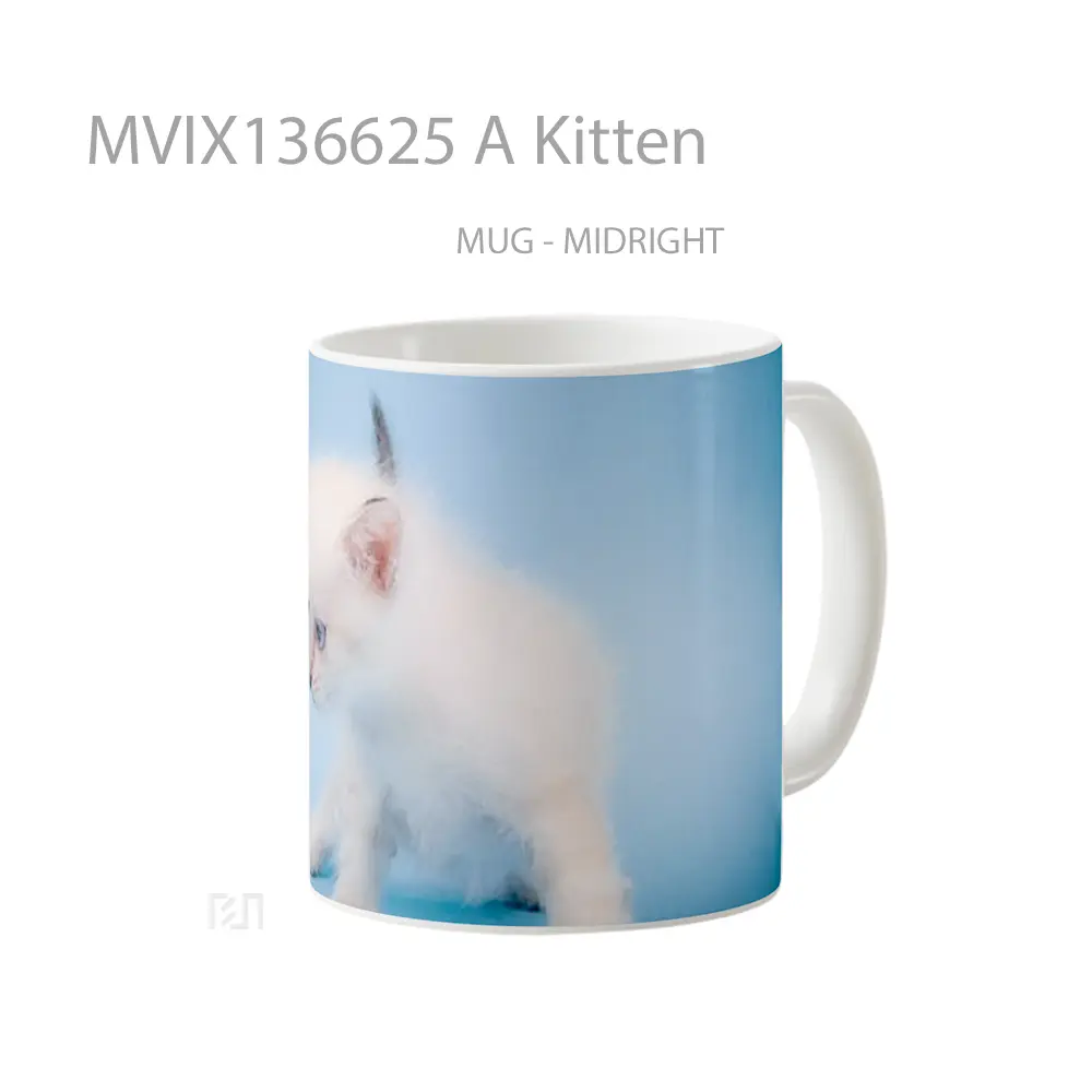 Mug A Kitten Gelas Hewan Lucu - All-side / Desain