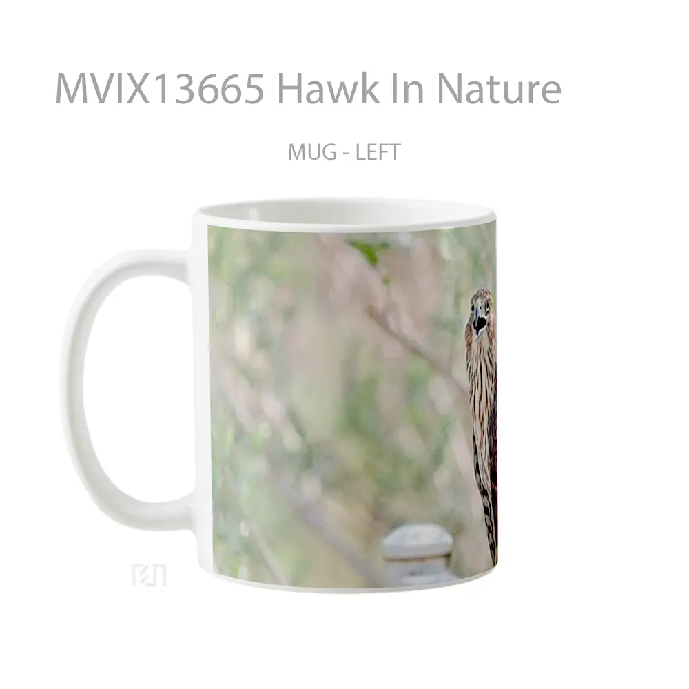 Mug Hawk In Nature Gelas Hewan Lucu - All-side / Desain