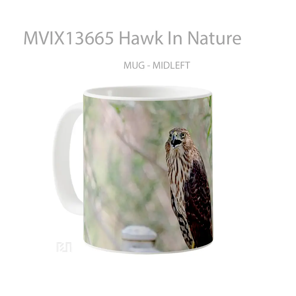 Mug Hawk In Nature Gelas Hewan Lucu - All-side / Desain