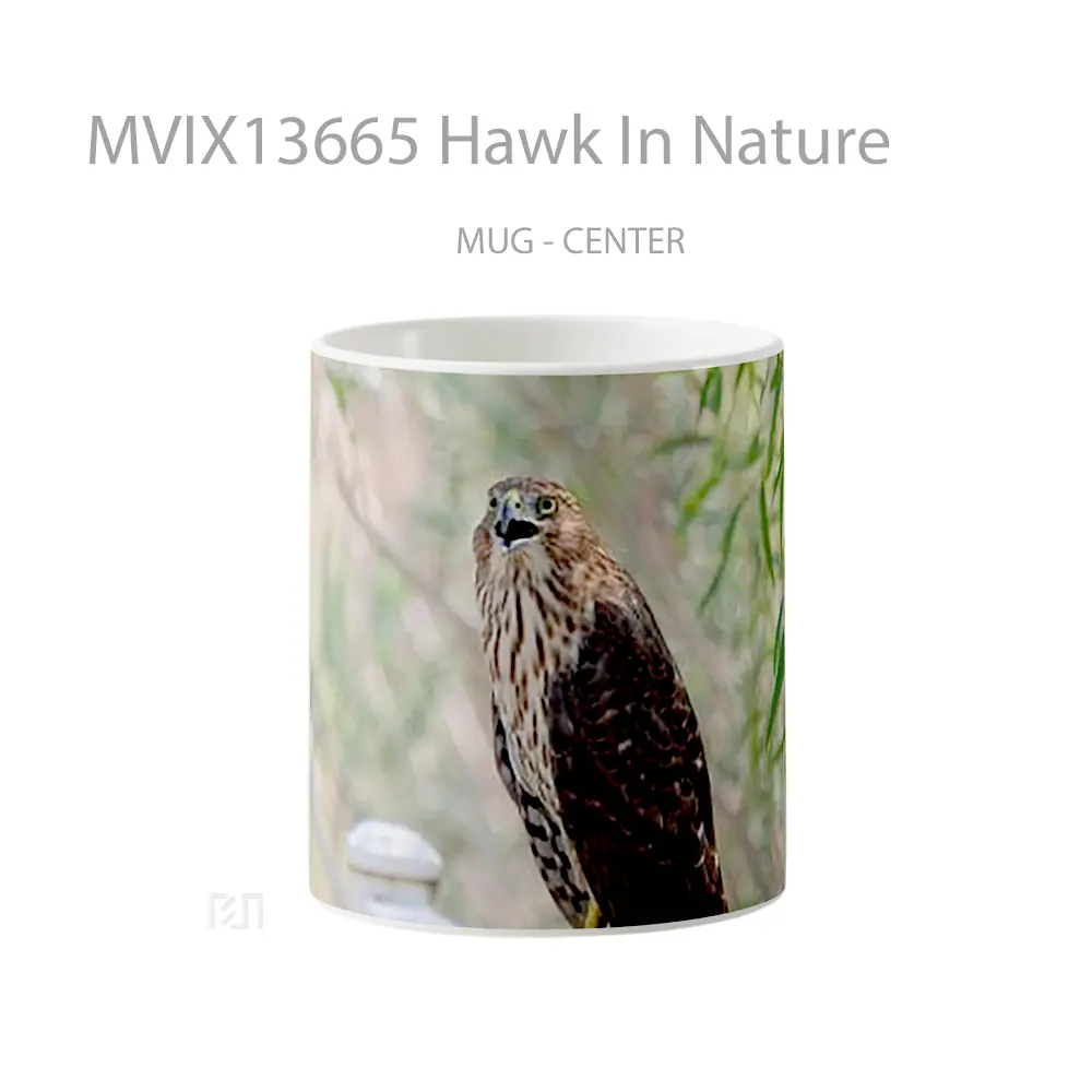Mug Hawk In Nature Gelas Hewan Lucu