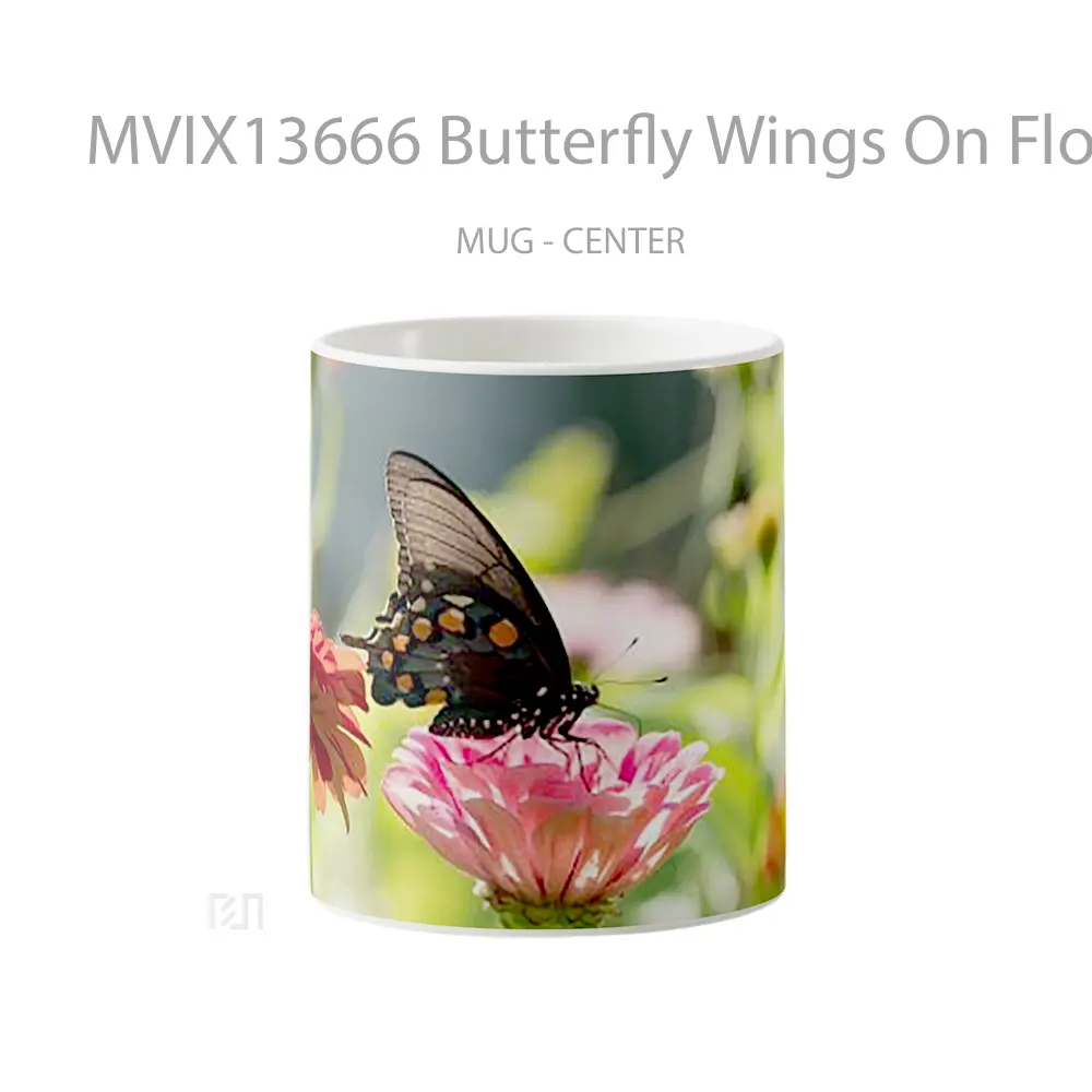 Mug Butterfly Wings On Flower Gelas Hewan Lucu