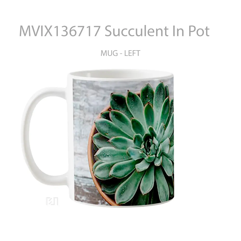 Mug Succulent In Pot Gelas Keramik Unik - All-side / Desain