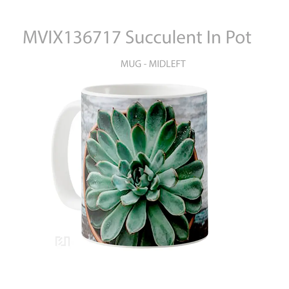 Mug Succulent In Pot Gelas Keramik Unik - All-side / Desain