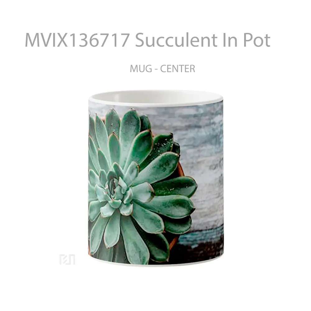 Mug Succulent In Pot Gelas Keramik Unik