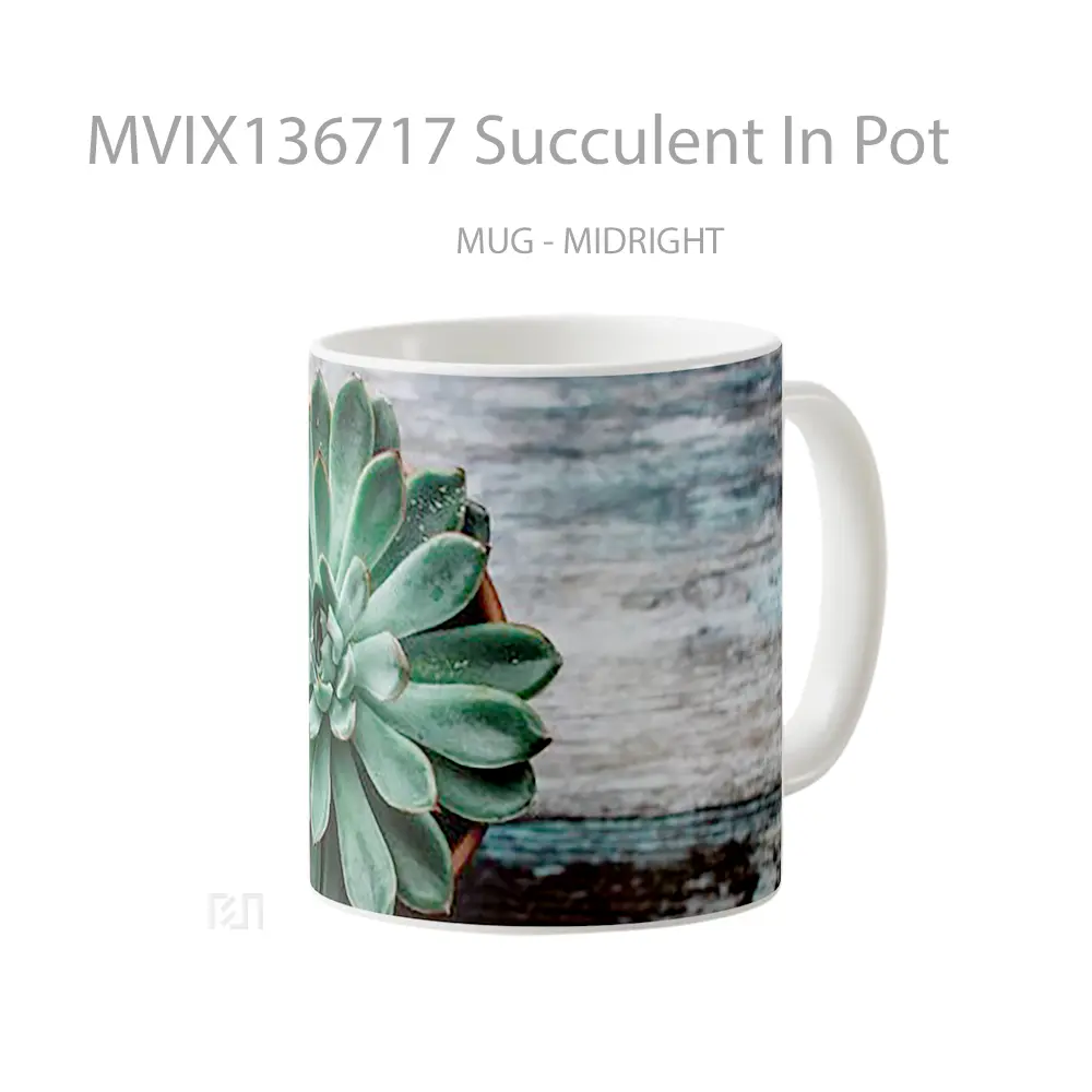 Mug Succulent In Pot Gelas Keramik Unik - All-side / Desain