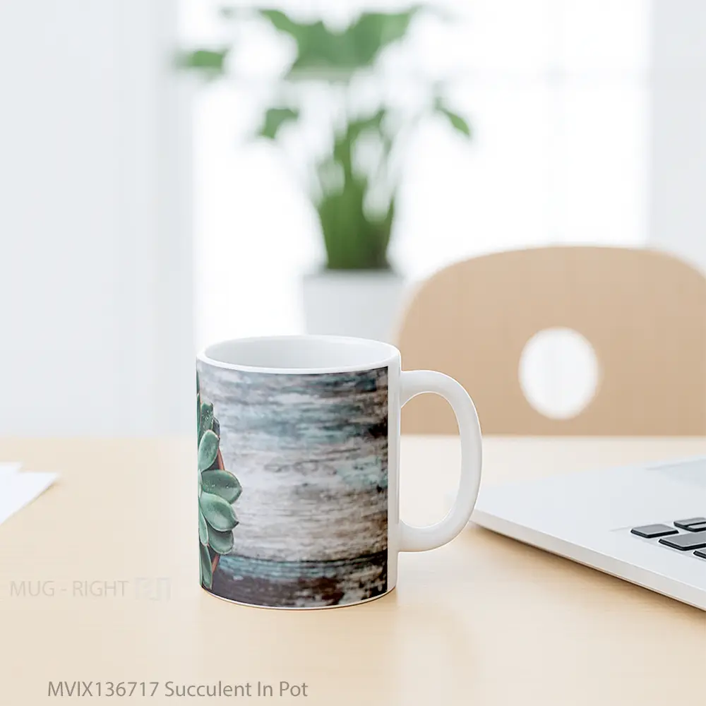 Mug Succulent In Pot Gelas Keramik Unik - All-side / Desain