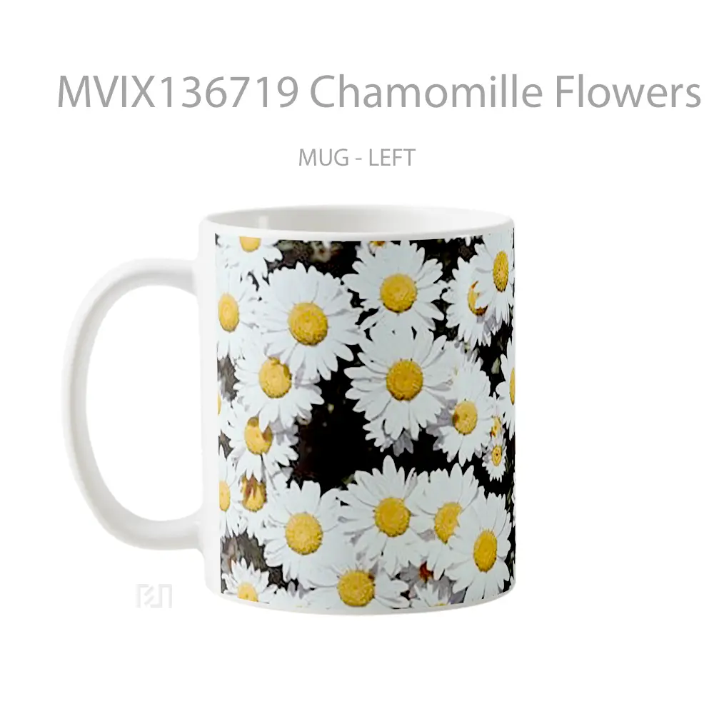 Mug Chamomille Flowers Gelas Pemandangan Alam - All-side / Desain