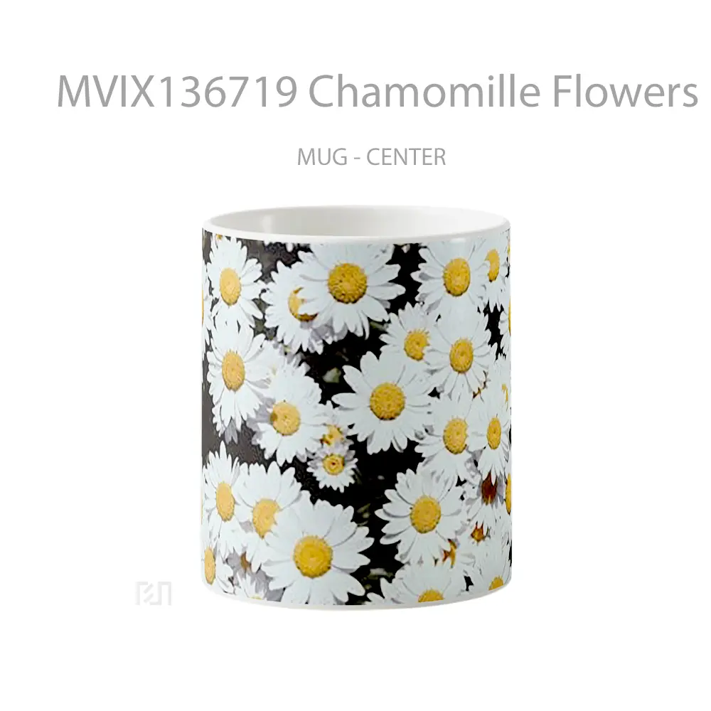 Mug Chamomille Flowers Gelas Pemandangan Alam