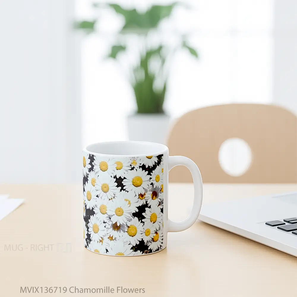 Mug Chamomille Flowers Gelas Pemandangan Alam - All-side / Desain