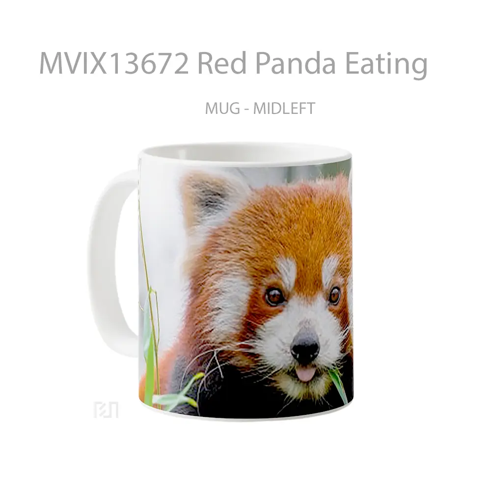 Mug Red Panda Eating Gelas Hewan Lucu - All-side / Desain