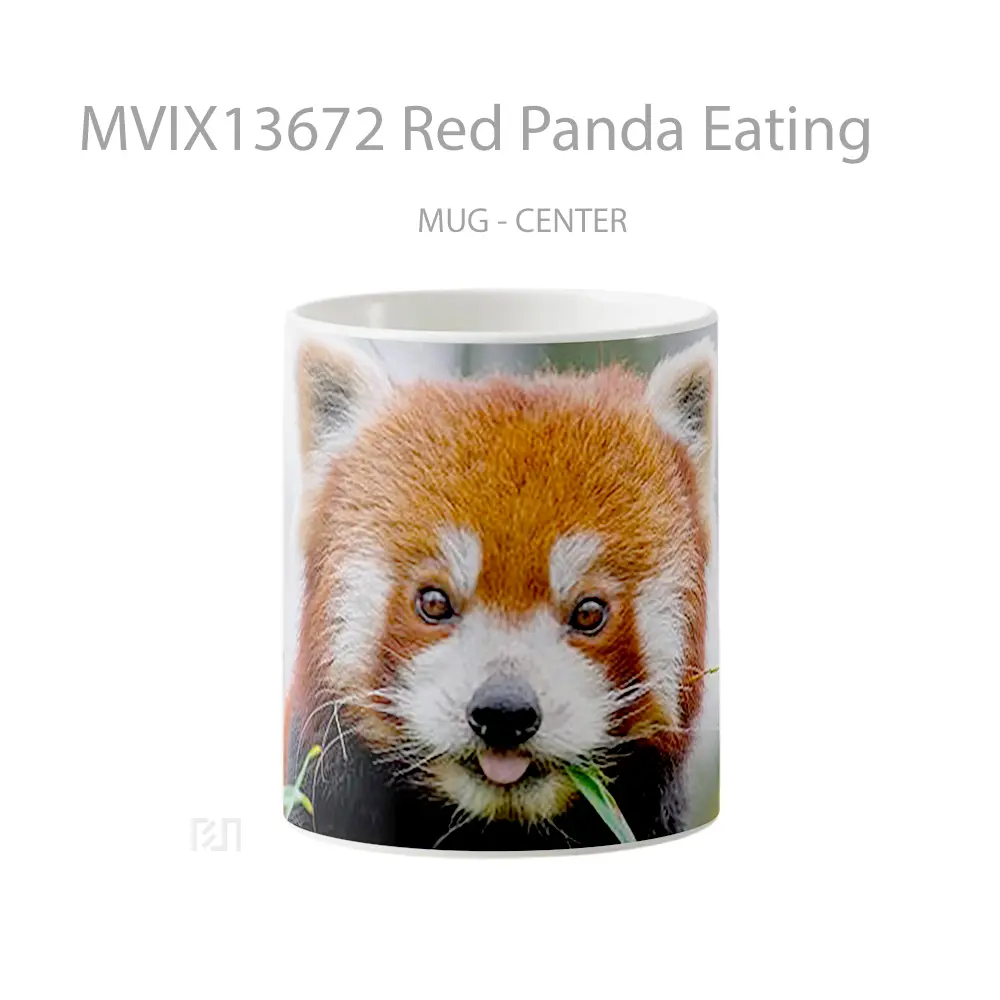 Mug Red Panda Eating Gelas Hewan Lucu