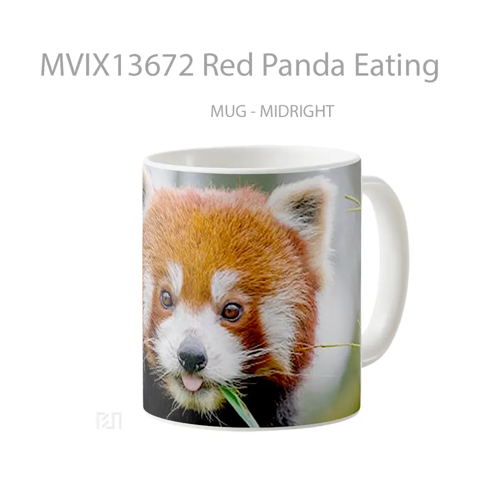 Mug Red Panda Eating Gelas Hewan Lucu - All-side / Desain