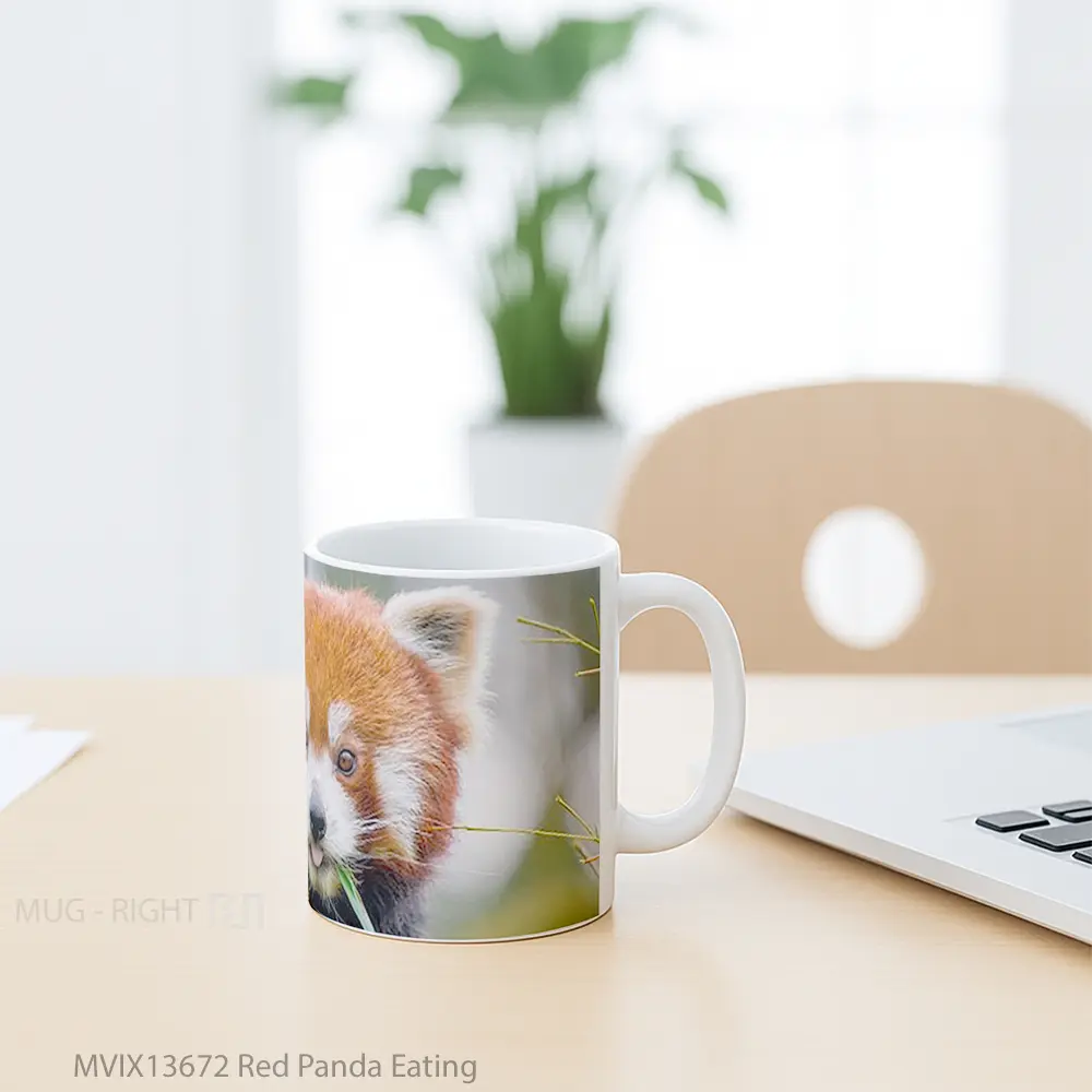 Mug Red Panda Eating Gelas Hewan Lucu - All-side / Desain