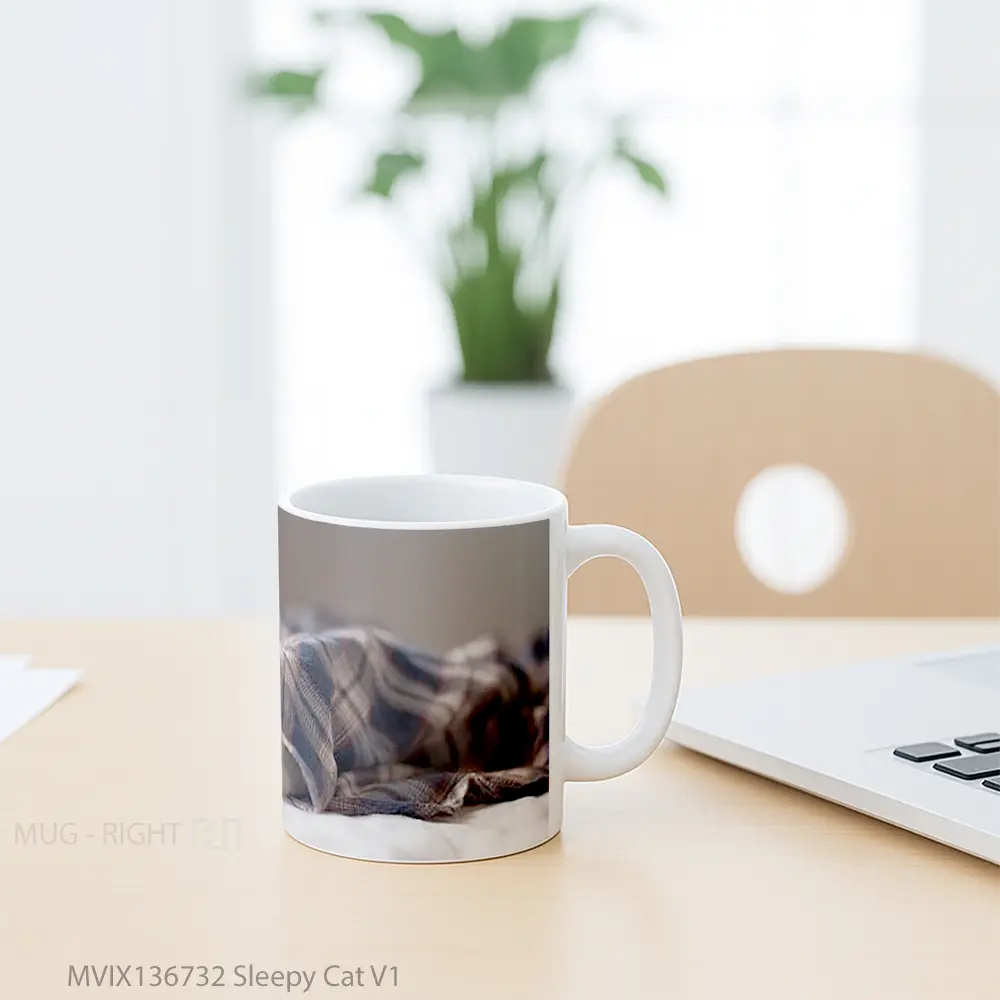 Mug Sleepy Cat V1 Gelas Hewan Lucu - All-side / Desain