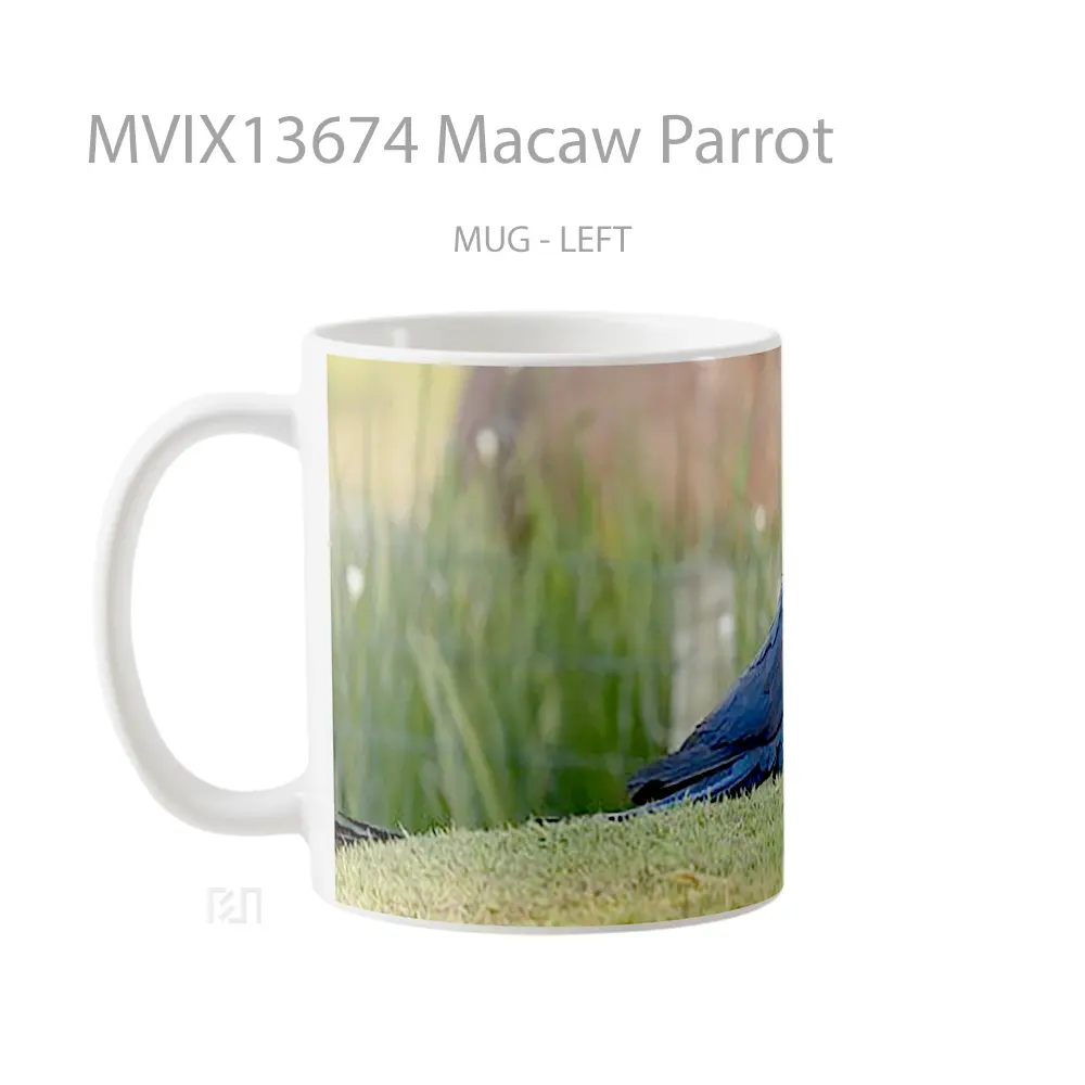 Mug Macaw Parrot Gelas Keramik Unik - All-side / Desain