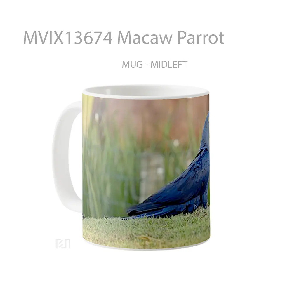 Mug Macaw Parrot Gelas Keramik Unik - All-side / Desain