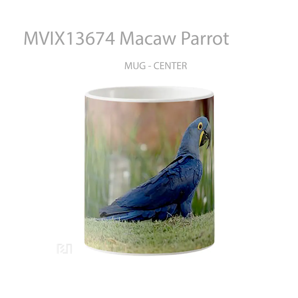 Mug Macaw Parrot Gelas Keramik Unik