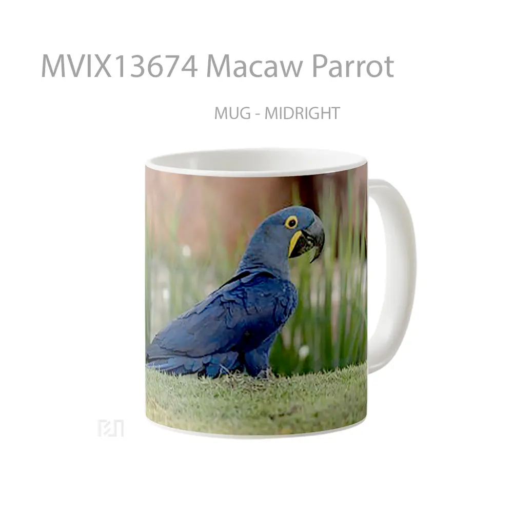 Mug Macaw Parrot Gelas Keramik Unik - All-side / Desain