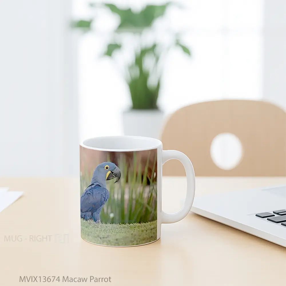 Mug Macaw Parrot Gelas Keramik Unik - All-side / Desain