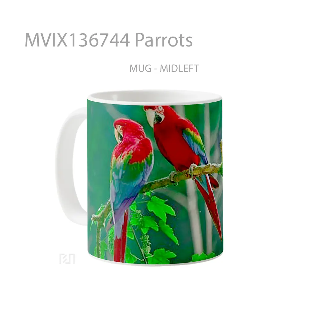 Mug Parrots Gelas Keramik Unik - All-side / Desain