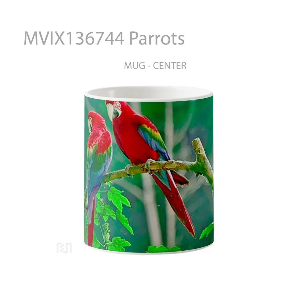 Mug Parrots Gelas Keramik Unik