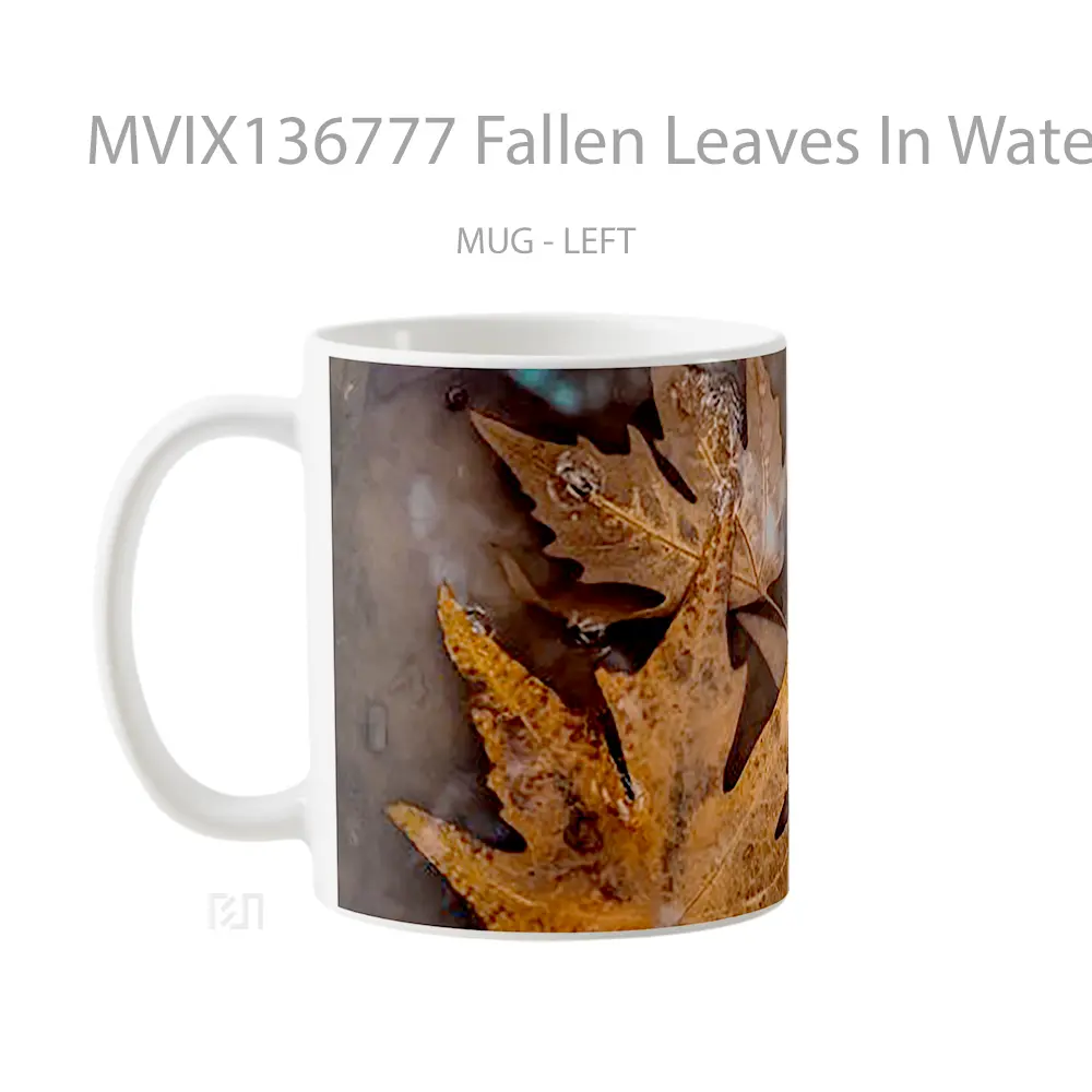 Mug Fallen Leaves In Water Gelas Pemandangan Alam - All-side / Desain