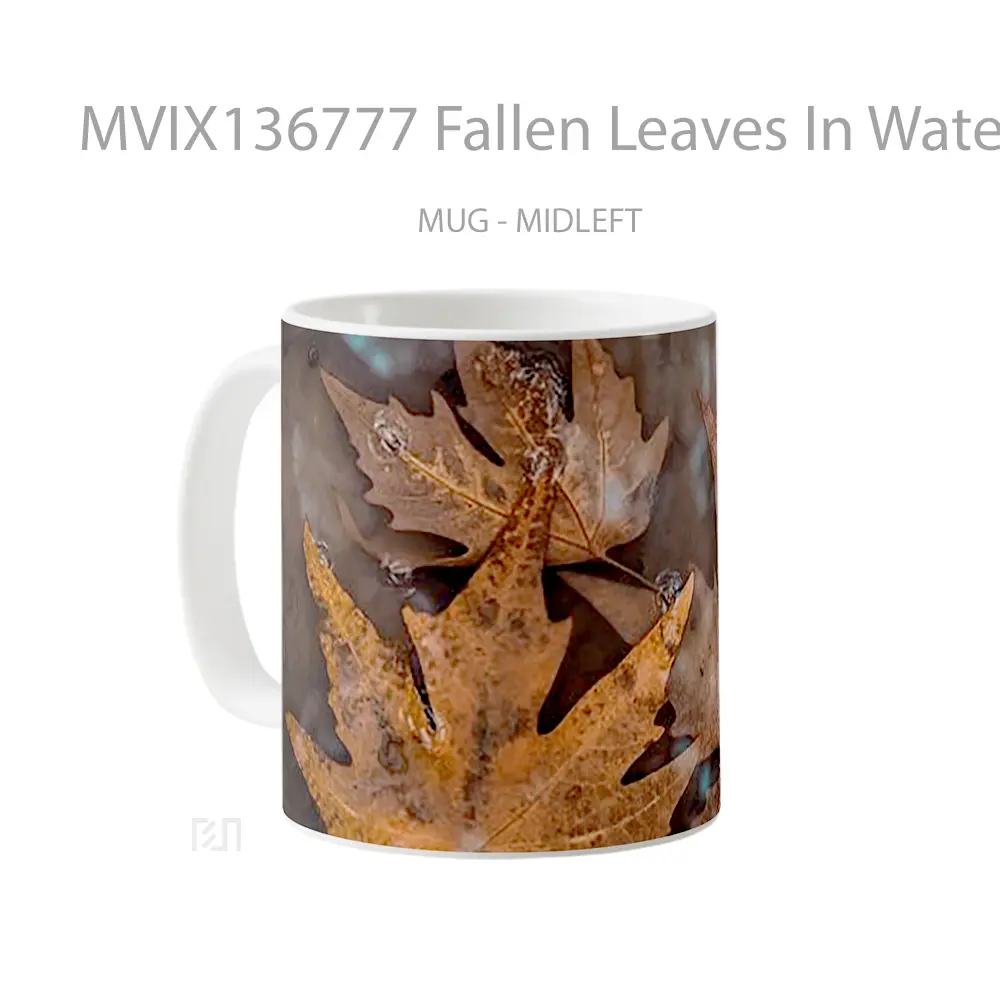 Mug Fallen Leaves In Water Gelas Pemandangan Alam - All-side / Desain