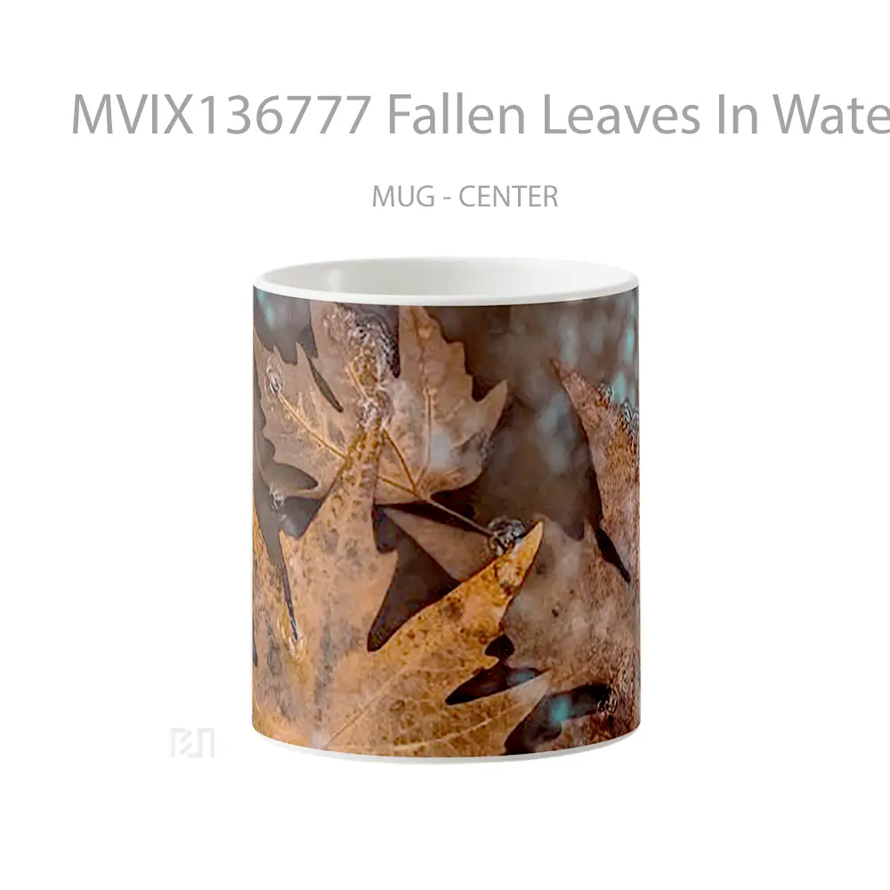 Mug Fallen Leaves In Water Gelas Pemandangan Alam