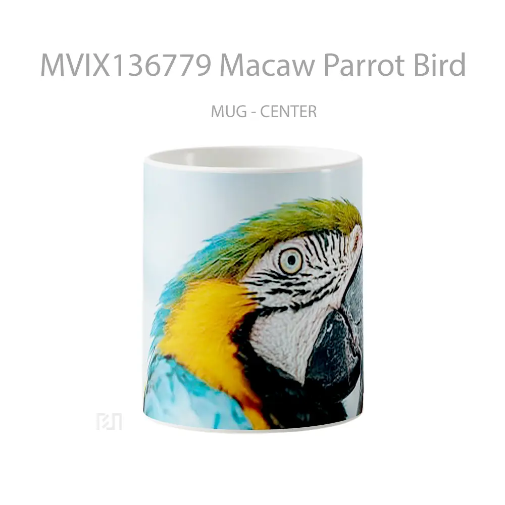 Mug Macaw Parrot Bird Gelas Hewan Lucu