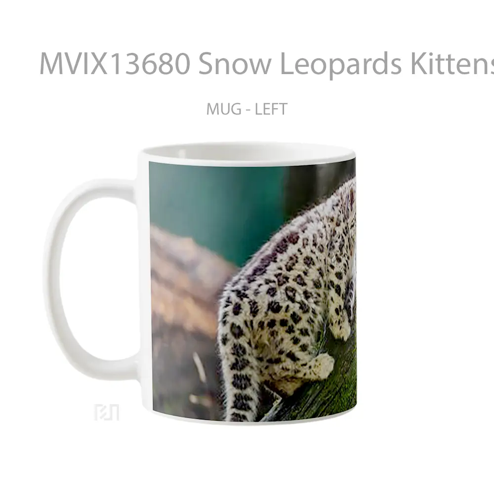 Mug Snow Leopards Kittens Gelas Pemandangan Alam - All-side / Desain