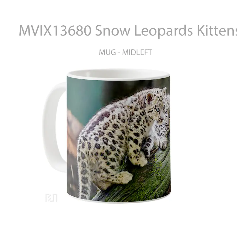Mug Snow Leopards Kittens Gelas Pemandangan Alam - All-side / Desain