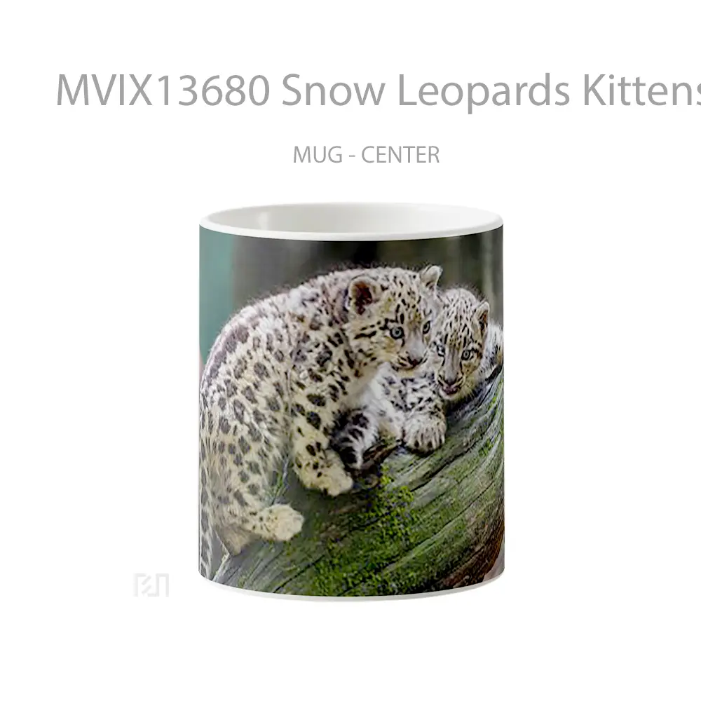 Mug Snow Leopards Kittens Gelas Pemandangan Alam