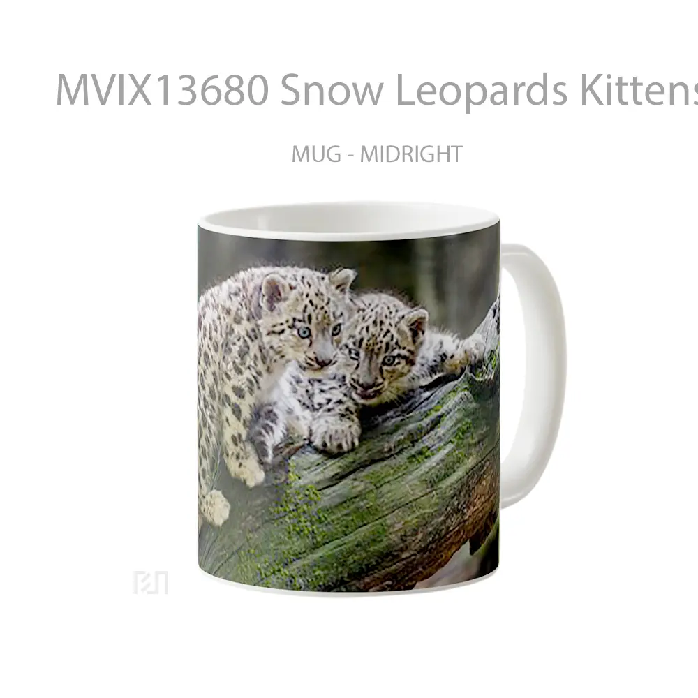 Mug Snow Leopards Kittens Gelas Pemandangan Alam - All-side / Desain