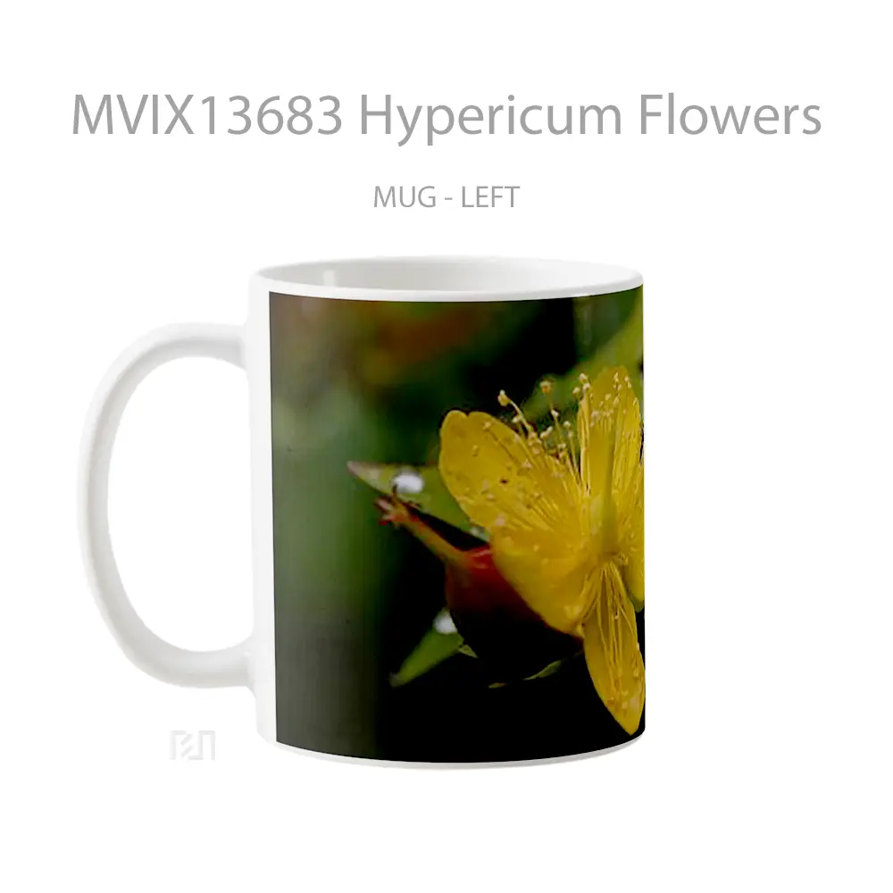Mug Hypericum Flowers Gelas Pemandangan Alam - All-side / Desain