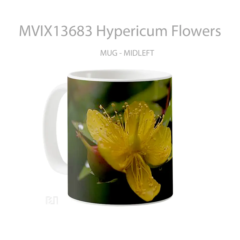 Mug Hypericum Flowers Gelas Pemandangan Alam - All-side / Desain