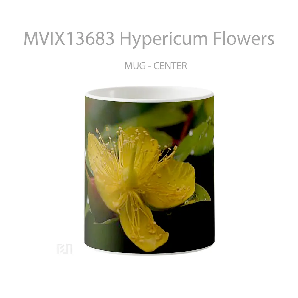 Mug Hypericum Flowers Gelas Pemandangan Alam