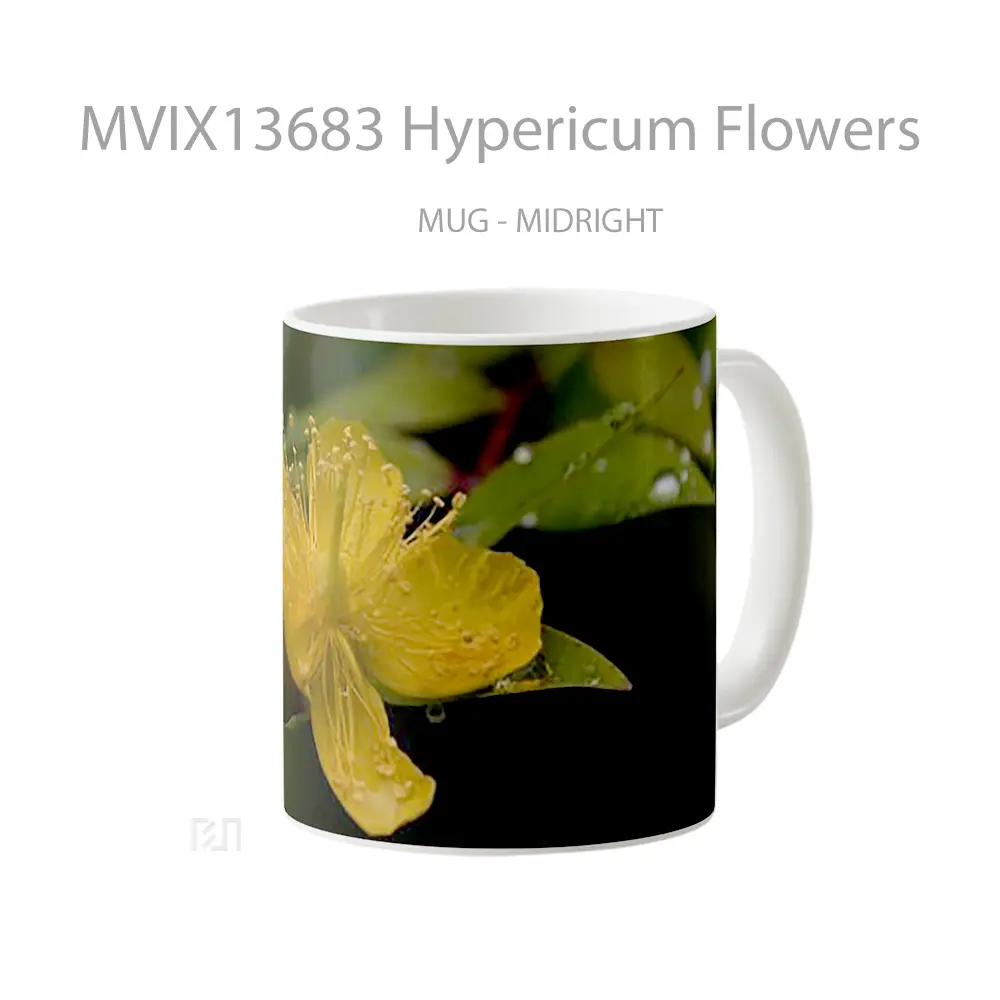 Mug Hypericum Flowers Gelas Pemandangan Alam - All-side / Desain