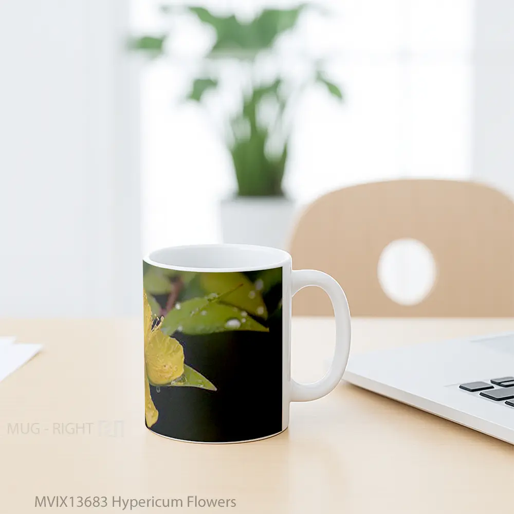 Mug Hypericum Flowers Gelas Pemandangan Alam - All-side / Desain